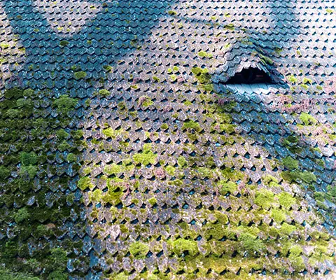 Démoussage toitures Cambrai